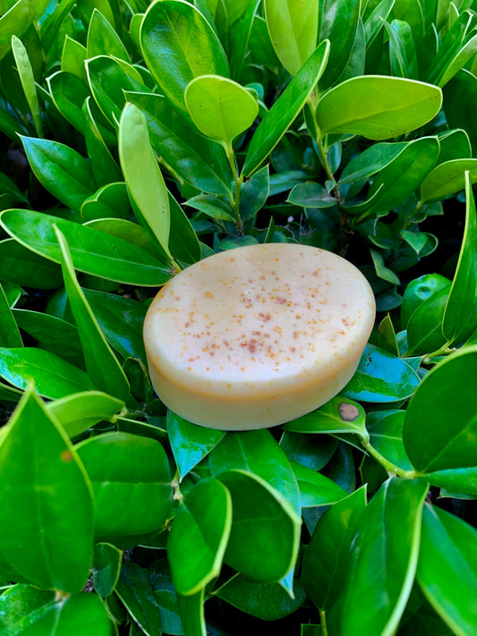 The “MelanisedMagic” Mango Bar